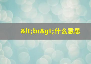 <br>什么意思